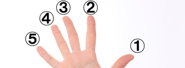 基礎馬來(lái)語(yǔ) Lesson 56: Bahagian badan 身體部位(圖3)