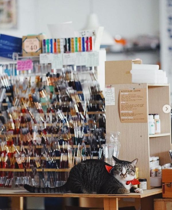 【史上最全】馬來(lái)西亞留學(xué)行李打包清單(圖2)